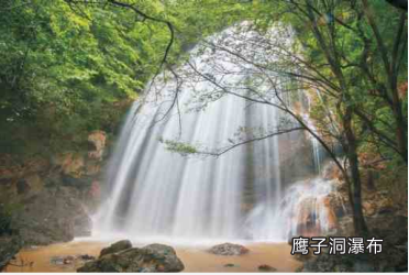 微信图片_20171229111556.png
